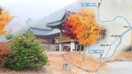 힐링! 감빛 곱게 물든 전북의 단풍 천리길 11곳