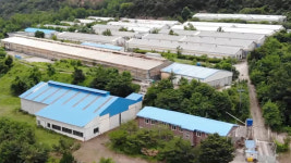 환경오염 논란 완주 비봉 돼지사육장, 지자체가 매입