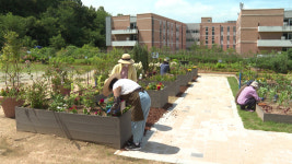 전주에 가족 단위 체험농장 마련.. 1일부터 신청