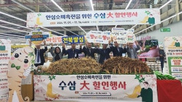 전북인삼농협, 하나로마트에 인삼 직거래장터 운영