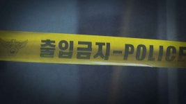 80대 몰던 벤츠 집으로 돌진.. 10대 女 깔려 숨져