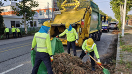 군산시, 연말까지 낙엽쓰레기 무상수거 특별처리기간 운영