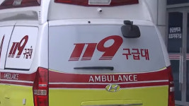 아파트 앞 횡단보도 건너던 여성.. 신호위반 트럭에 치여 숨져