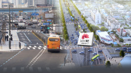 기린대로 BRT 구축 위해 가로수 360그루 옮겨