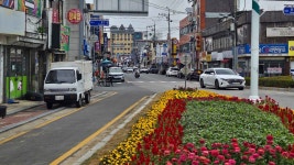 김제시, 남북로 골목형 상점가 신규 지정..온누리상품권 사용권역 확대