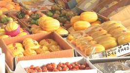 전남 유통 농수산물, 방사능 물질로부터 안전