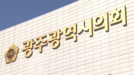참여자치21 광주시의회 의장 경선, 민주주의 훼손