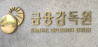 금감원 