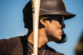 MLB 김하성 샌디에이고 파드리스 스프링캠프 훈련 합류