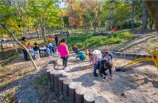 [주말엔JOY]푸른 오월, 숲 산책 어떤가요?