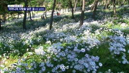 [남도의 풍경]소박하고 순수한 마음-강진 옴천면(56)