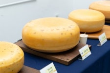 치즈 맛이 이 정돈 돼야지..올해 최고 목장 치즈는 고다 치즈