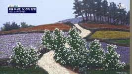 [KBC갤러리] 꽃을 피우는 50가지 방법 - 박주하외作(화순군립 운주사문화관)