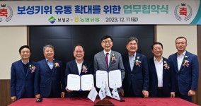보성키위, 전국 농협 하나로마트에서 판매된다