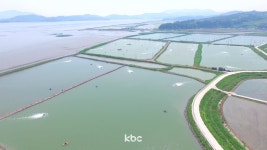 전남 토지 면적 1.8㎢ 증가..축구장 252개 만큼 늘었다
