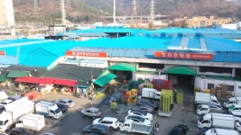 전국 최대 규모 추진 광주 각화동 농산물도매시장 이전..부지 대폭 축소될 듯