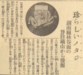 [전라도 돋보기]전국서 1천여 명 골드러시..금광굴 지금도 생생(1편)