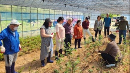 전라남도 농촌 돌봄서비스 농촌공동체 활성화 효과 톡톡