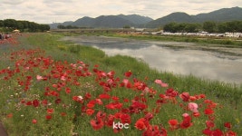 서리 내린다는 상강..찬 바람에 쌀쌀