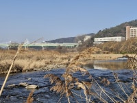 [전라도 돋보기]옛 선암 나루터와 선암장이 있던 곳