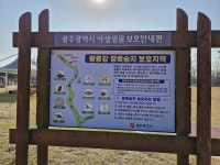 [전라도 돋보기]옛 선암 나루터와 선암장이 있던 곳