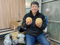 [남·별·이]흙에 살리라 박치백 씨 30여 년 공직 마치고 배 농사꾼 됐어요