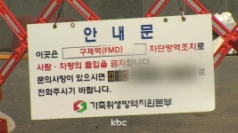 전라남도 구제역 확산 차단 대응 총력