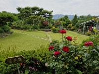 [남·별·이]경찰복 벗고 농부로 윤예주 시인..15년 동안 토종야생화 가꿔(1편)