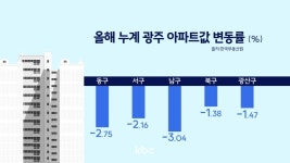 봉선동 광주 남구 아파트값 하락률 최고 [광주·전남 부동산 바로보기]