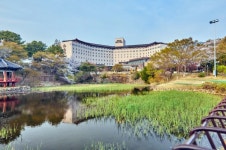 中 시진핑이 2박 3일 묵은 곳은 어디?..경주 코오롱호텔 자미원