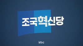 조국혁신당 