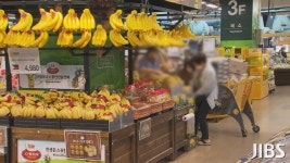 제주도내 유통 식품 99% 적합