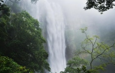 [제주 가볼만한 곳] 장마 시작.. 비가 오면 여기로!