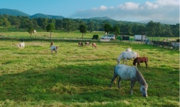 [제주 가볼만한 곳] 가을의 문턱, 여기는  어떤가요?