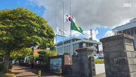 이태원 참사..서울 탐라영재관 학생 222명 전원 소재  확인