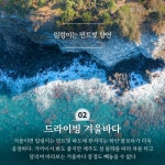 세상의 모든 색 품어 겨울.. 총천연색 제주를 만나는 법