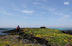 보면 볼수록 빠져드는 제주 명소는 어디일까?