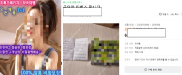 약국대행·비밀보장 온라인 약장수.. 털어보니 2만건↑  탈탈