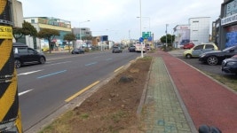 제주 중앙버스전용차로제, 도민 의견 수렴  필요