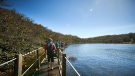“다시, 내게 돌아온 여름”... 황홀한 계절의 품에서,  즐겨볼까?