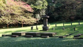 [제주 가볼만한 곳] 버스로 떠나는  제주여행