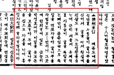 [제주스토리] 1천년 역사 탐라 감귤, 첫 나무  남아있을까?