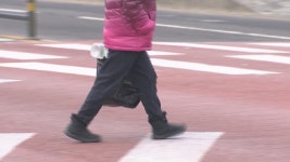 제주 노인 보행자 사망사고 빨간불.. 신호 체계  손질