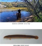 배꼽털난 달팽이가 한라산에?.. 물장오리엔 미꾸리도 산다