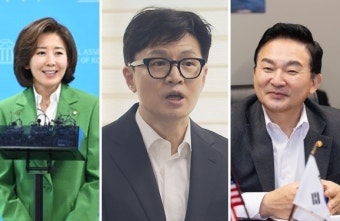'채상병 특검 추진' 한동훈에, 나경원 