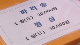 바가지 논란 제주 해수욕장 만족도 찔끔.. 음식값-파라솔 만족 뒷걸음질