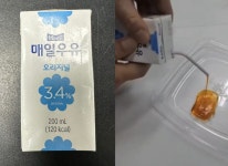 매일우유 갈색 액체, 양잿물 성분...식약처, 영업정지 요청