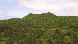 회복 더딘 도너리오름.. 식물 훼손 우려에 자연휴식년제 연장