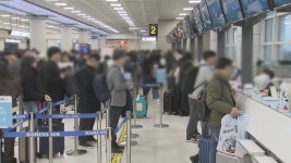 제주 항공권 언제 사야 저렴한가 한국은행 직원 분석  눈길