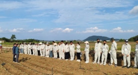 베트남 계절근로자 떠난 자리.. 농가는 다시 “하늘만 쳐다봐야 하나‘